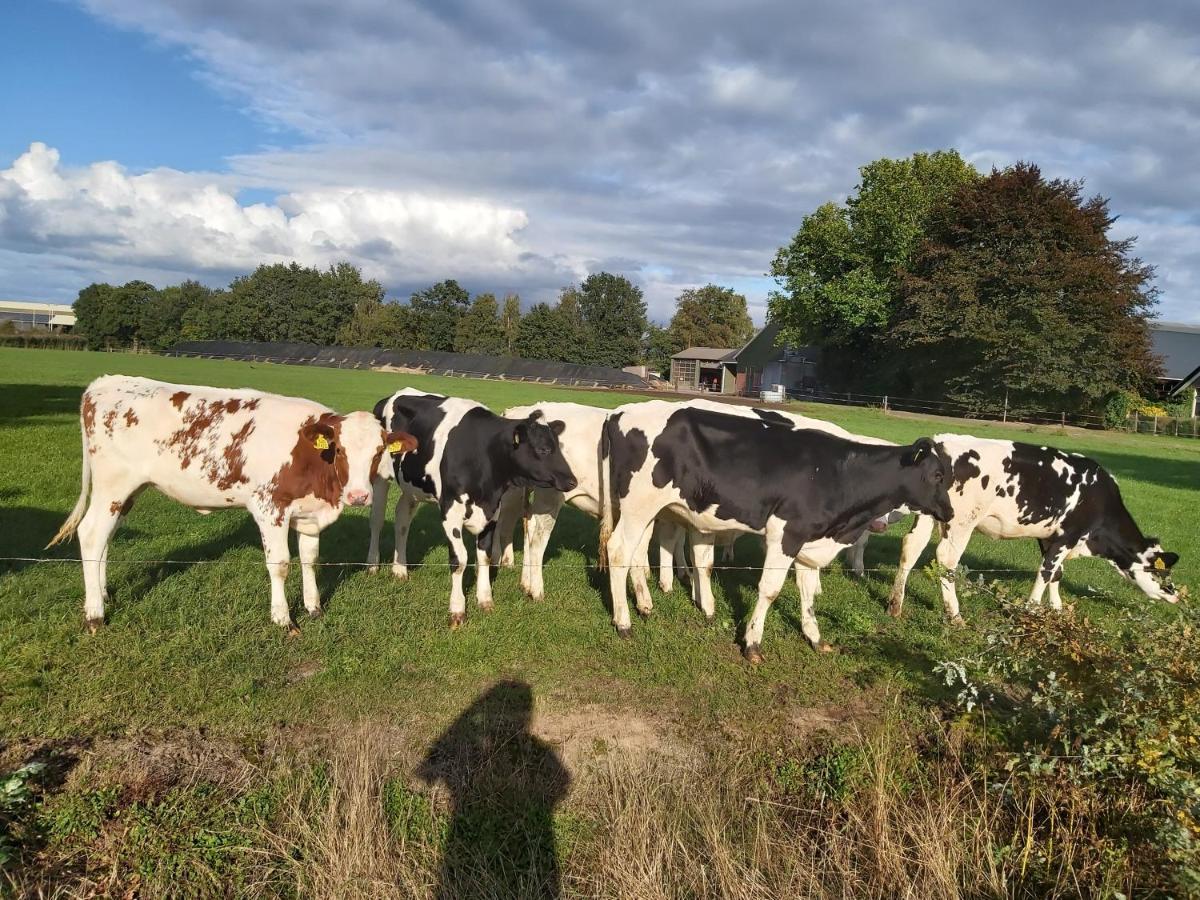 Familiehuis Amber Haaksbergen Bagian luar foto